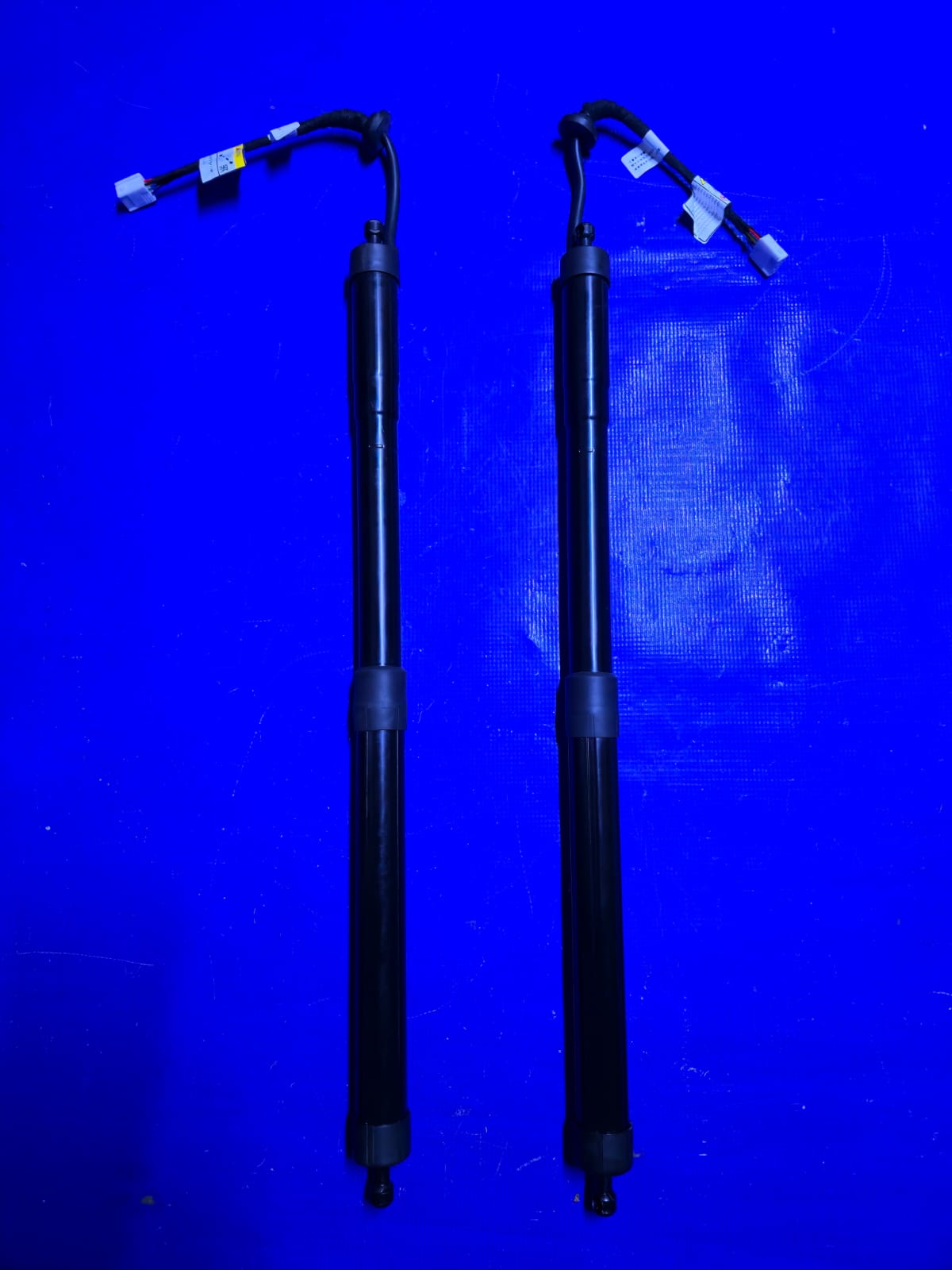 BMW Electric Tailgate Lift Supports Shocks