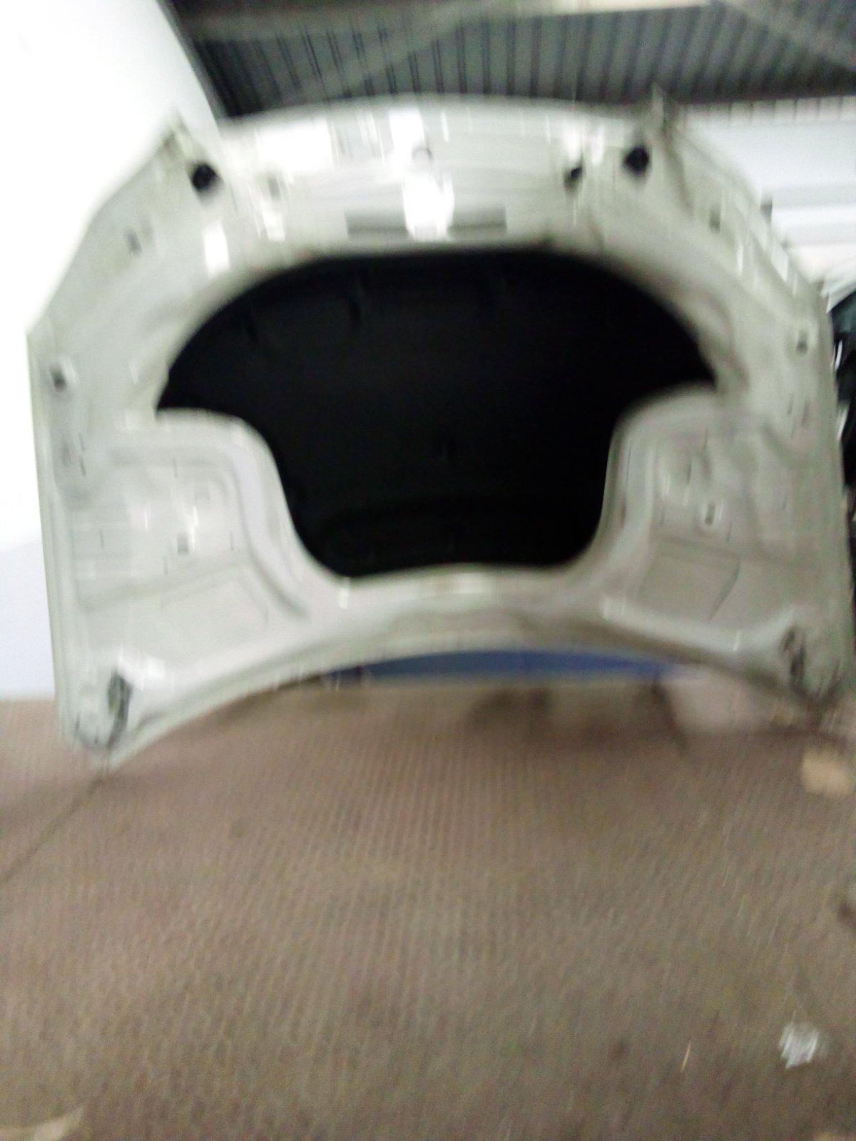 Toyota Vehicle Bonnet / Hood Panel